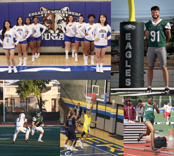 PCCD Athletics Collage